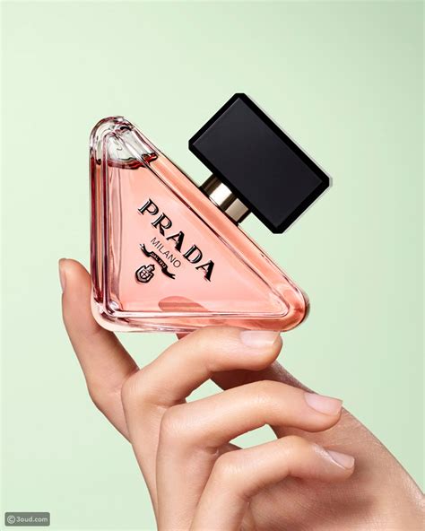 parfum paradoxe prada femme|prada paradoxe 2022 femme.